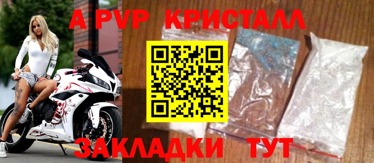 APVP СК Подольск