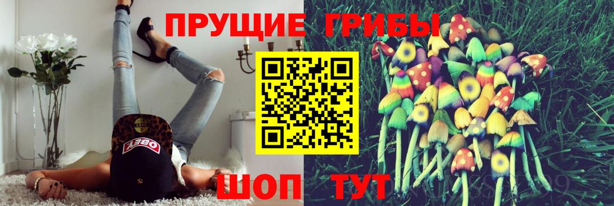 Подольск  Псилоцибиновые грибы мухоморы  Вход с VPN 